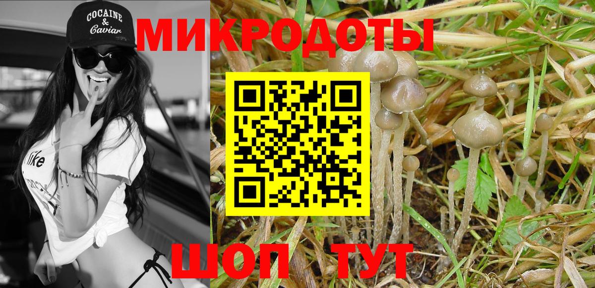 Псилоцибиновые грибы мицелий Острогожск